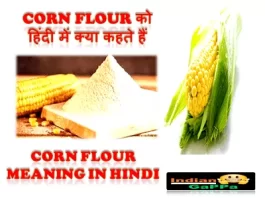 corn-flour-ko-hindi-mein-kya-kahate-hain