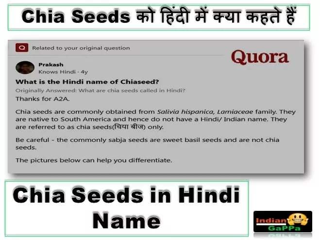 chia-seeds-in-hindi-name