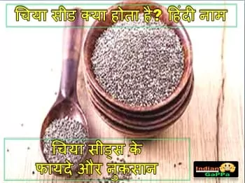 chia-seeds-in-hindi