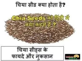 chia-seeds-ko-hindi-mein-kya-kahate-hain