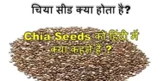 chia-seeds-ko-hindi-mein-kya-kahate-hain