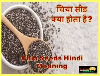 what-is-chia-seeds-in-hindi, chia-seeds-kya-hota-hai