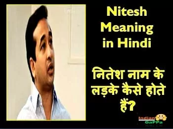 nitesh-rane-nitesh-meaning-in-hindi