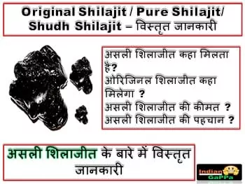 original-shilajit-pure-shilajit-असली-शिलाजीत-की-कीमत