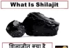 what-is-shilajit-शिलाजीत-क्या-है