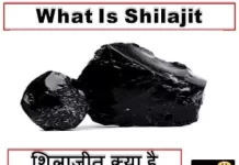 what-is-shilajit-शिलाजीत-क्या-है