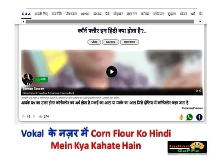 corn-flour-ko-hindi-mein-kya-kahate-hain-vokal