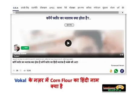 what-is-corn-flour-in-hindi-vokal